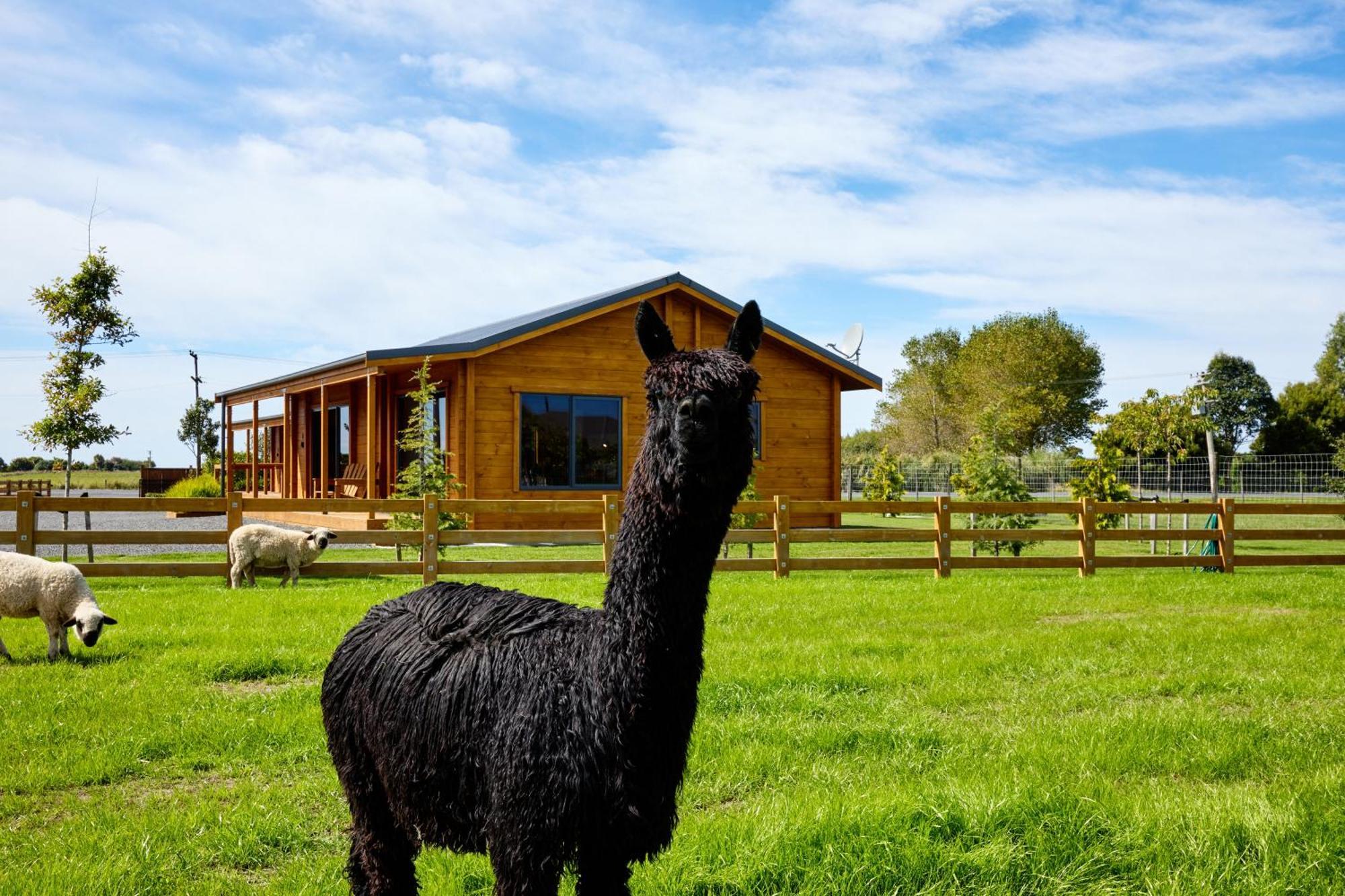 Deerbrooke Kaikoura Chalets - Chalet 2 Kültér fotó